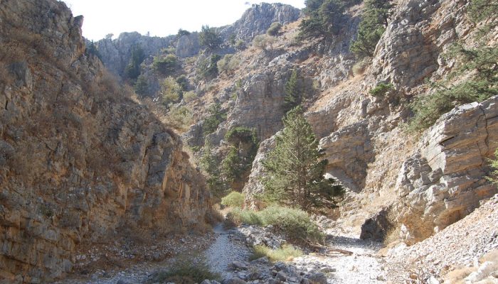 Πεζοπορία στην Κρήτη